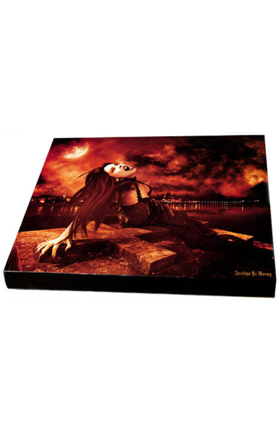 The Turning Canvas - Avelina De Moray