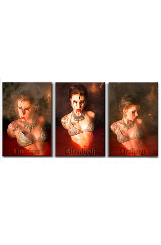 Countess Elizabeth Bathory Canvas - Avelina De Moray