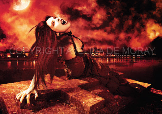 The Turning Canvas - Avelina De Moray