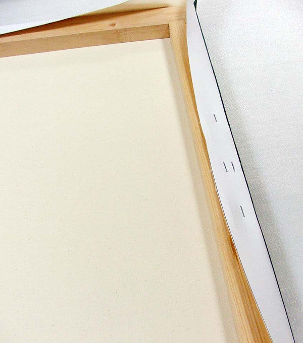 The Turning Canvas - Avelina De Moray