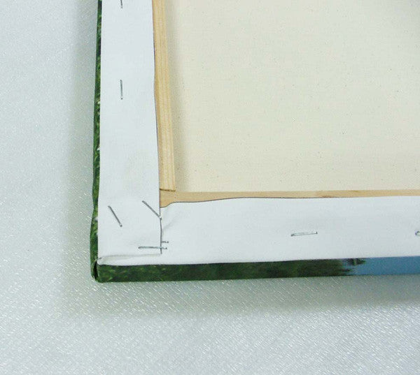 The Turning Canvas - Avelina De Moray